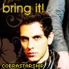 Cobra Starship (100x100)